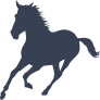 Young And Free Horse Sticker