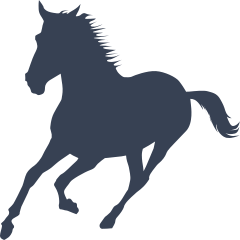 Young And Free Horse Sticker