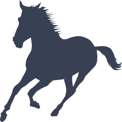 Young And Free Horse Sticker