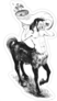 Young Beautiful Strong Centaur Sticker