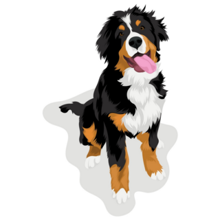 Young Bernese Mountain Sticker