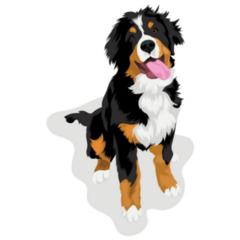 Young Bernese Mountain Sticker