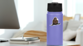 Young California Sea Lion Moving Sticker on a Water Bottle (New) example