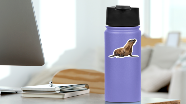 Young California Sea Lion Sticker on a Water Bottle (New) example