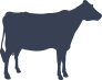 Young Cow Sticker