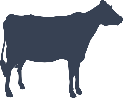 Young Cow Sticker