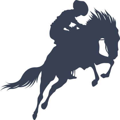 Young Cowgirl Riding A Horse Sticker