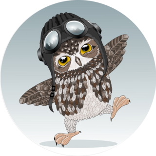 Young Cute Owl Sticker