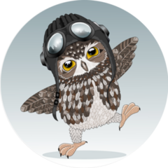 Young Cute Owl Sticker