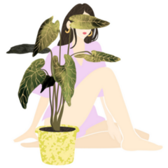 Young Summer Woman Sitting Behind Potted House Plant Sticker