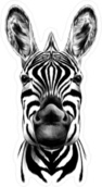 Zebra Head Sticker