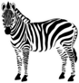 Zebra Illustration Sticker
