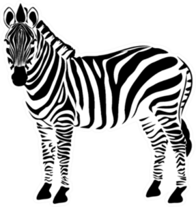 Zebra Illustration Sticker