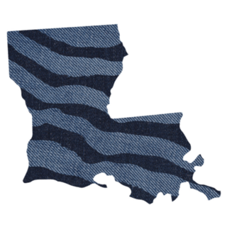 Zebra Print State Louisiana Sticker