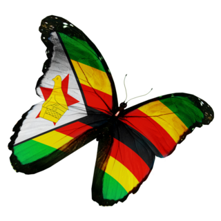 Zimbabwe Flag Butterfly Sticker