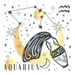 Zodiac Aquarius Boho Magical Vintage Art Sticker 