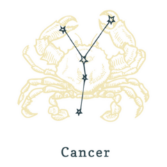 Zodiac Constellation Of Cancer Engraving Sticker
