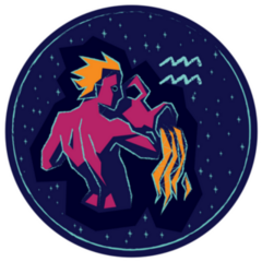 Zodiac Sign Aquarius Starry Sky Sticker
