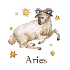 Zodiac Sign Aries.watercolor Ram Illustration Sticker