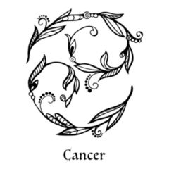 Zodiac Sign Cancer Floral Pattern Sticker