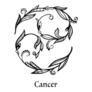 Zodiac Sign Cancer Floral Pattern Sticker