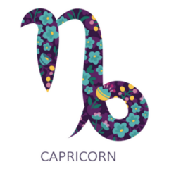 Zodiac Sign Floral Capricorn Sticker