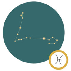 Zodiac Sign Pisces Constellation On Green Sticker