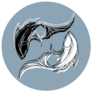 Zodiac Sign Pisces. Two Fish In A Circle Sticker