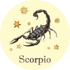Zodiac Sign - Scorpio Watercolor Illustration Sticker