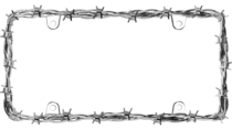 Barbed Wire License Plate Frame