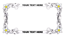 Custom Daisy Chrome License Plate Frame