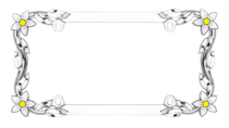 Daisy Chrome License Plate Frame