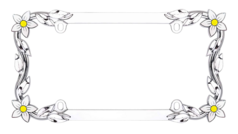 Daisy Chrome License Plate Frame