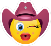 FAQ Cowgirl Example