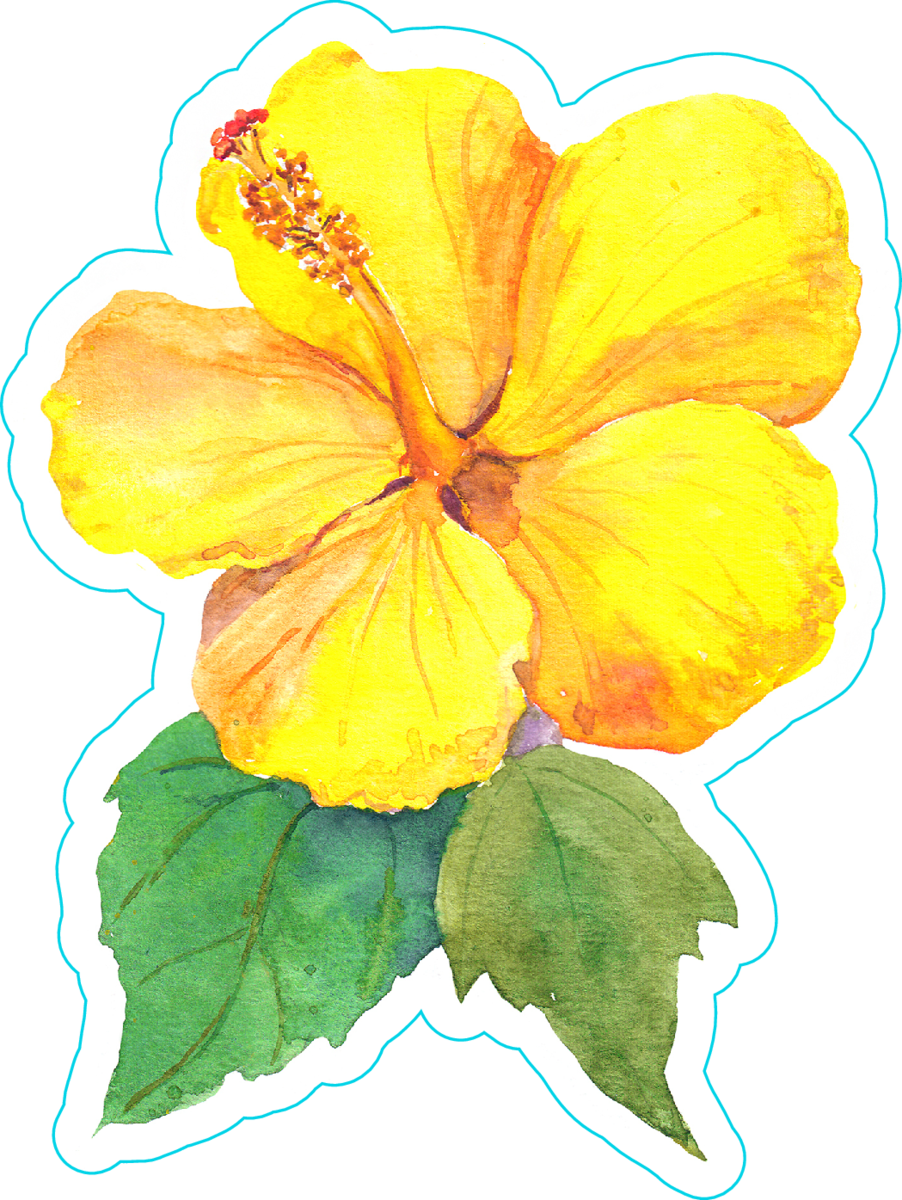 Yellow Hibiscus Flower Watercolor Sticker