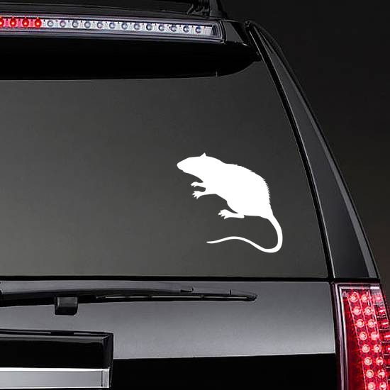 Pet Rat Sticker on a Rear Car Window example