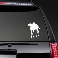 Awesome Camel Sticker on a Rear Car Window example