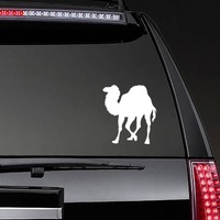 Fuzzy Camel Walking Sticker on a Rear Car Window example