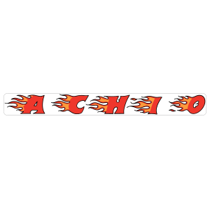 Alpha Chi Omega Flames Sticker