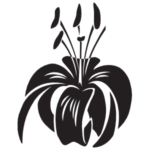 Lily Flower Car Stickers &amp; Decals