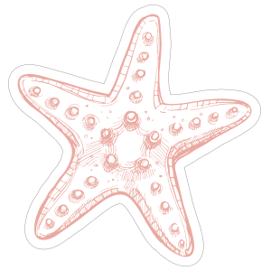 Hand Drawn Starfish Sticker