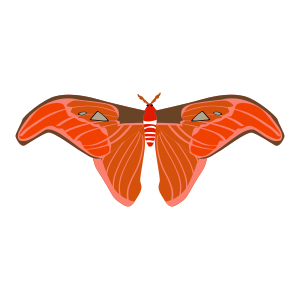 Interesting Butterfly Sticker