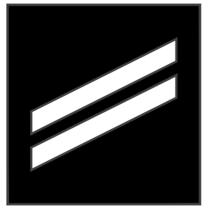Navy Rank E-2 Seaman Sticker