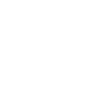 Sweet Aardvark Sticker