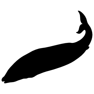 Whale Sticker
