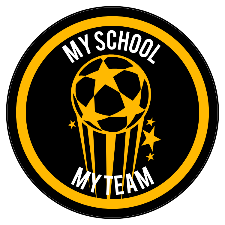Custom Shooting Soccer Ball with Stars Circle Sticker