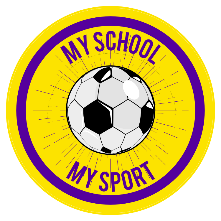 Custom Circle Soccer Ball with Burst Sticker