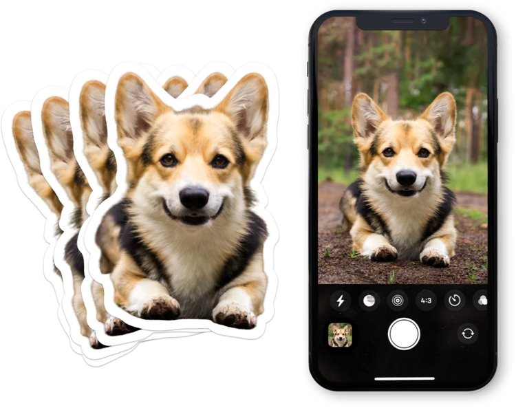 Colorful Dogs Clear Stickers