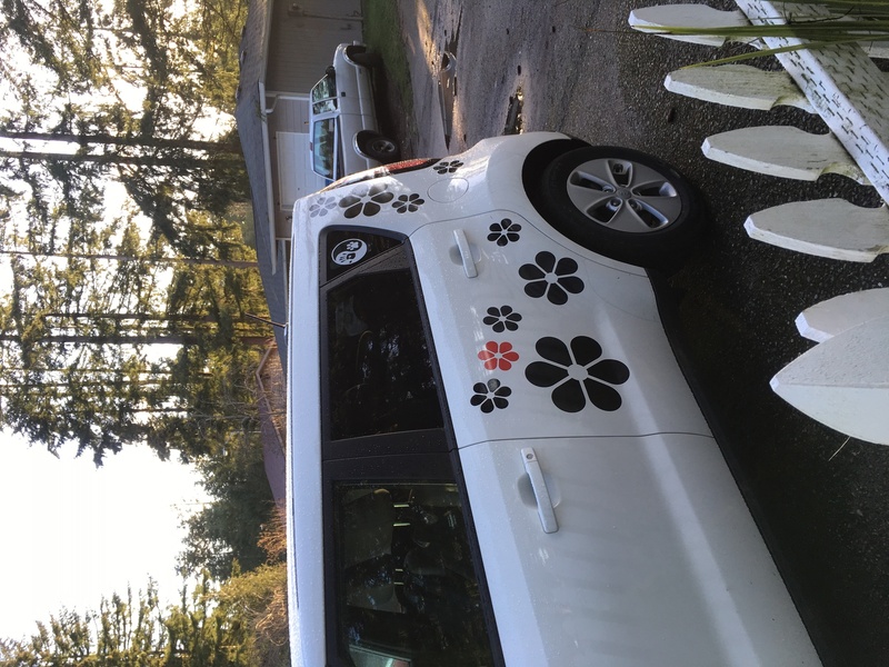 Margaret's photograph of their Daisy Flower Pedals Sticker